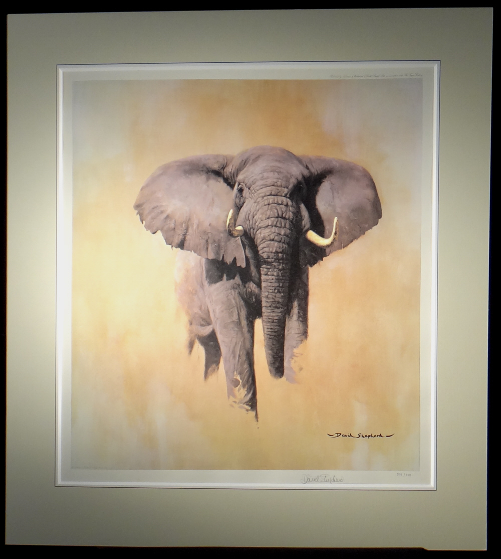 david shepherd signed limited edition print African bull elephant