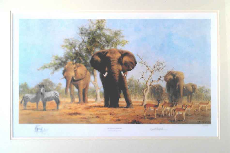 AfricanLandscape