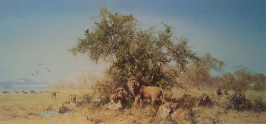 africasilk