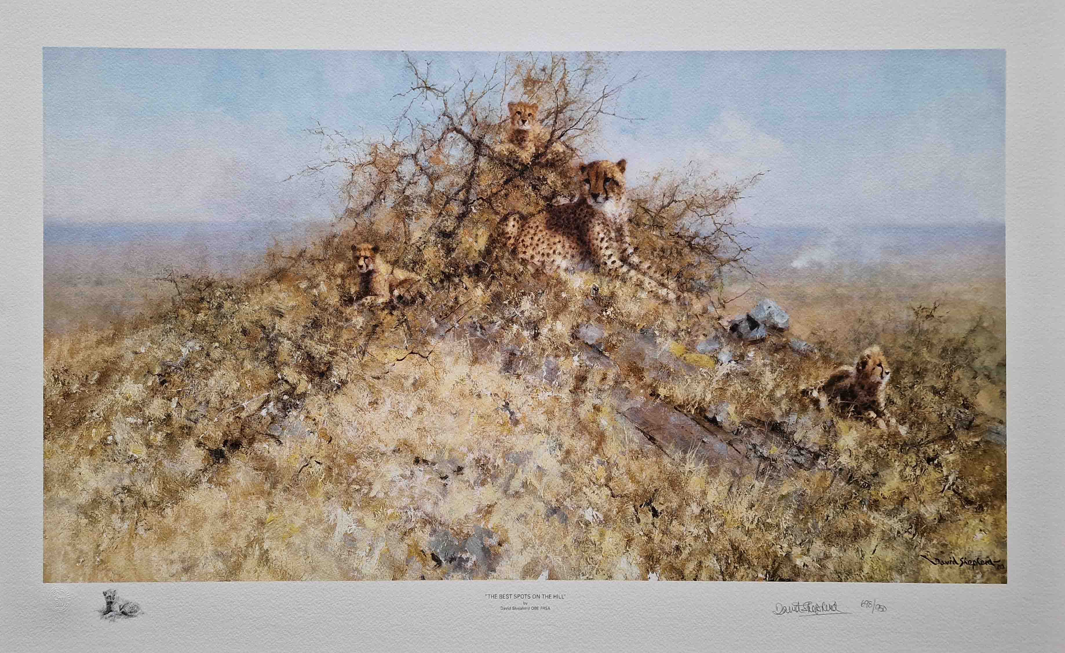 signed limited edition print Cheetahs, best spots on the hill