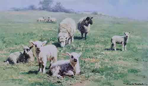 david shepherd country cousins, sheep, lambs, print