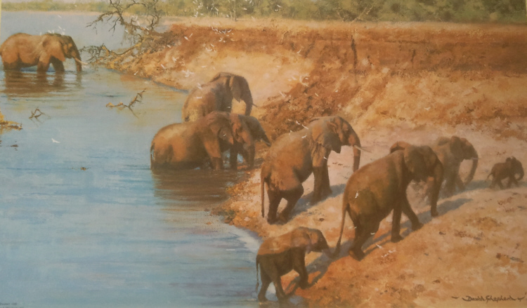 davidshepherd-crossing