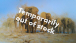 david shepherd dusty evening elephant silkscreen print