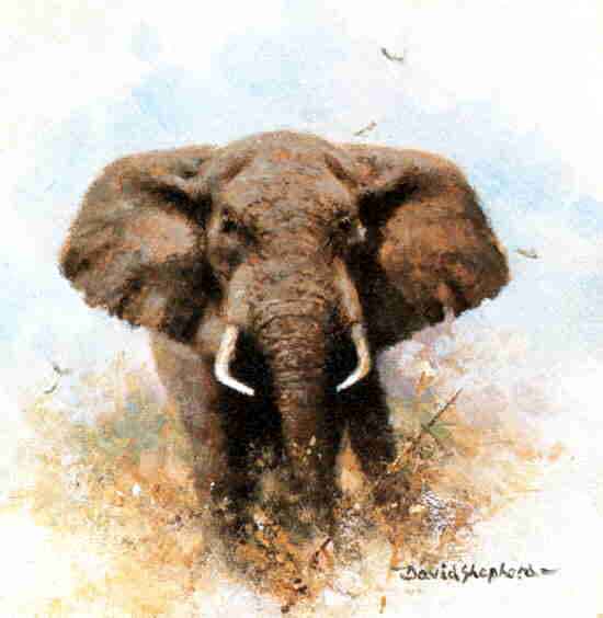 david shepherd elephant cameo