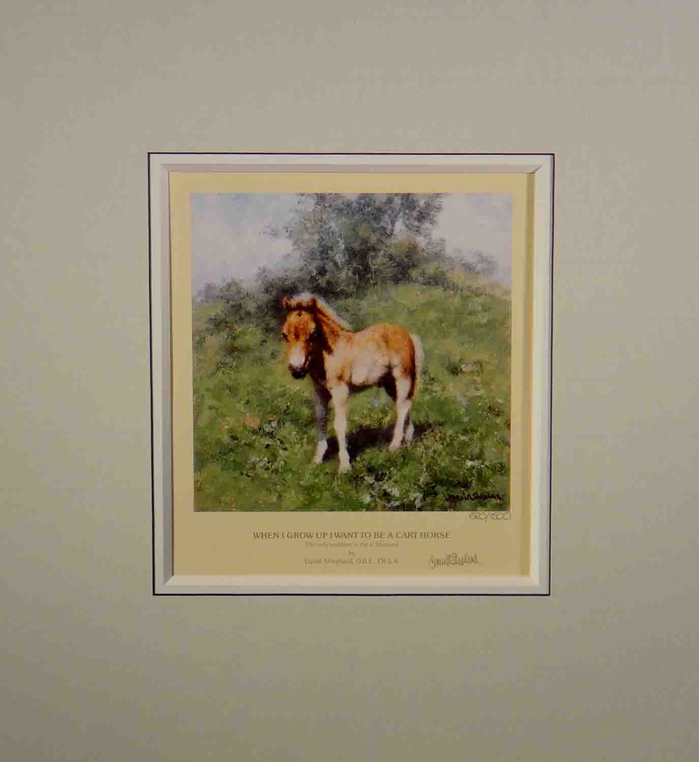 david shepherd, foal, horse, signed print