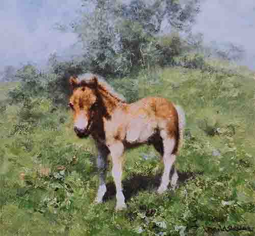 davidshepherd-foal