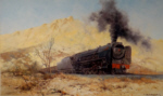 david shepherd city of Germiston, steam trains