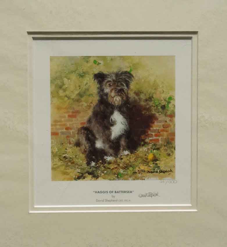 shepherd Haggis of Battersea dog signed print