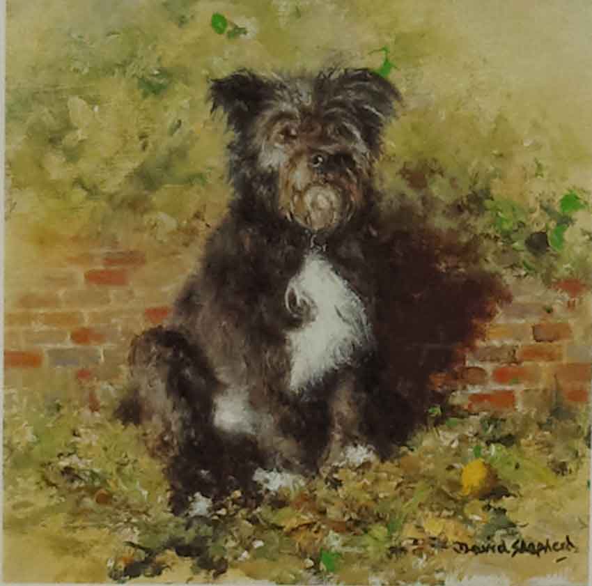 shepherd Haggis of Battersea dog signed print