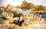 david shepherd in the cool of evening