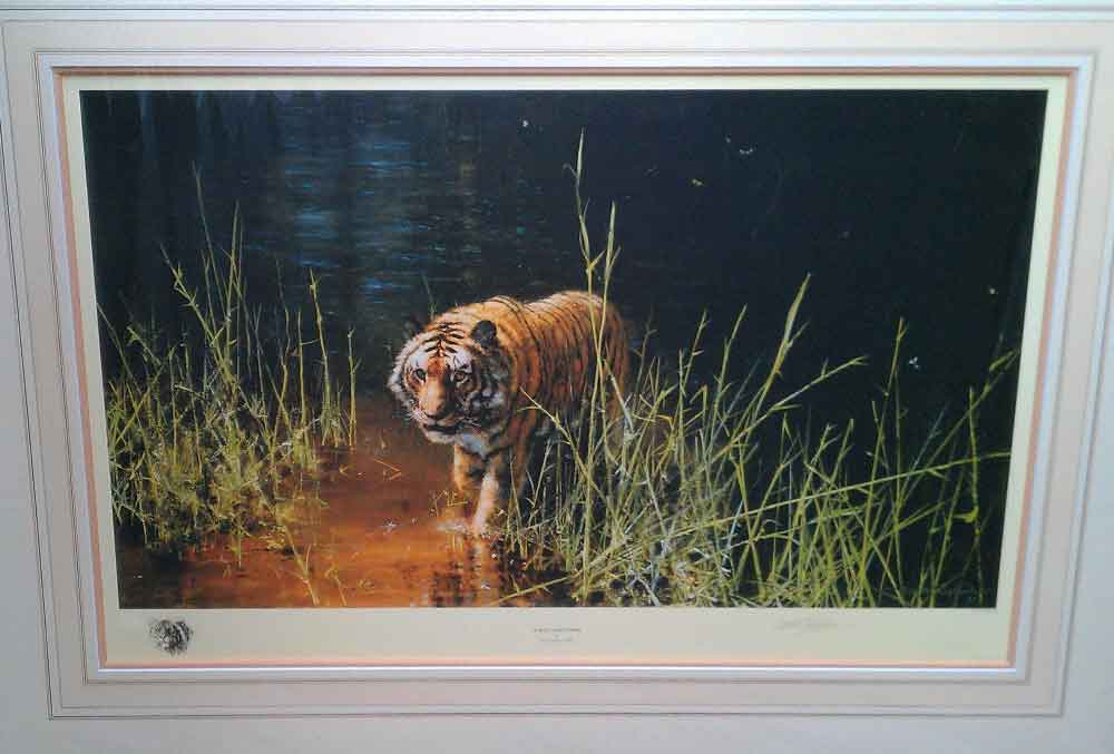 davidshepherd-junglegentleman