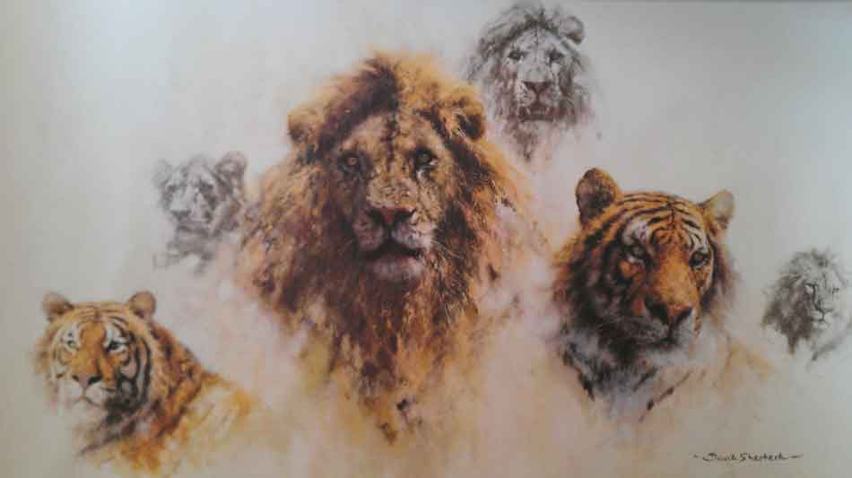 davidshepherd-JustCats