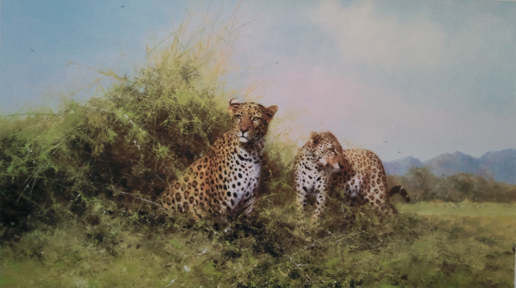 davidshepherd-Leopard