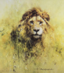 david shepherd lion signed print