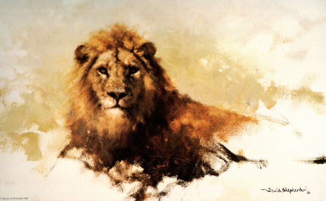 lionsketch1986-davidshepherd
