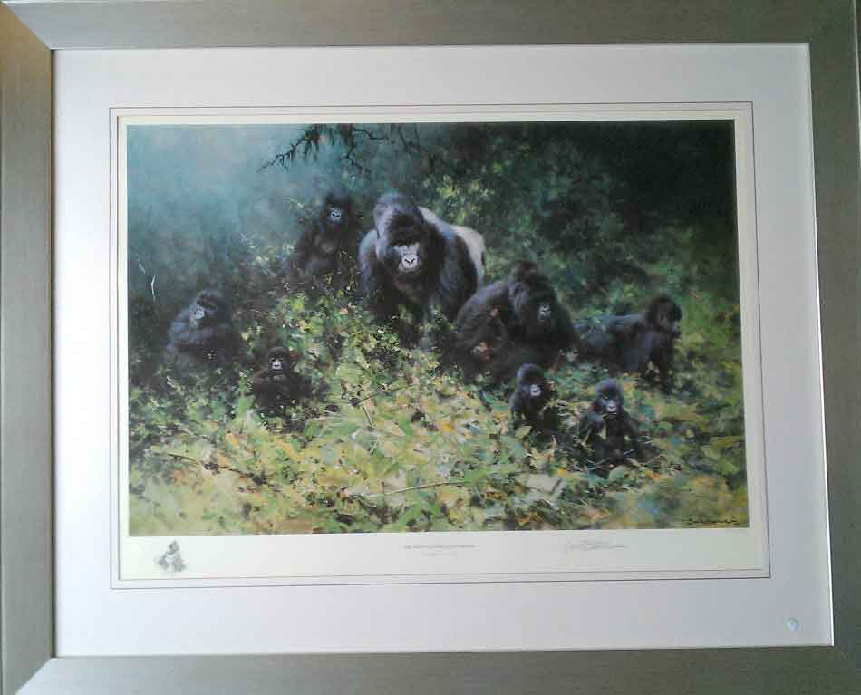 davidshepherd-mountaingorillasofrwanda