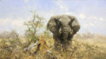 david shepherd original painting african elephant