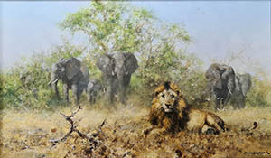 david shepherd original painting, Elephants and Lion david shepherd original painting, Elephants and Lion