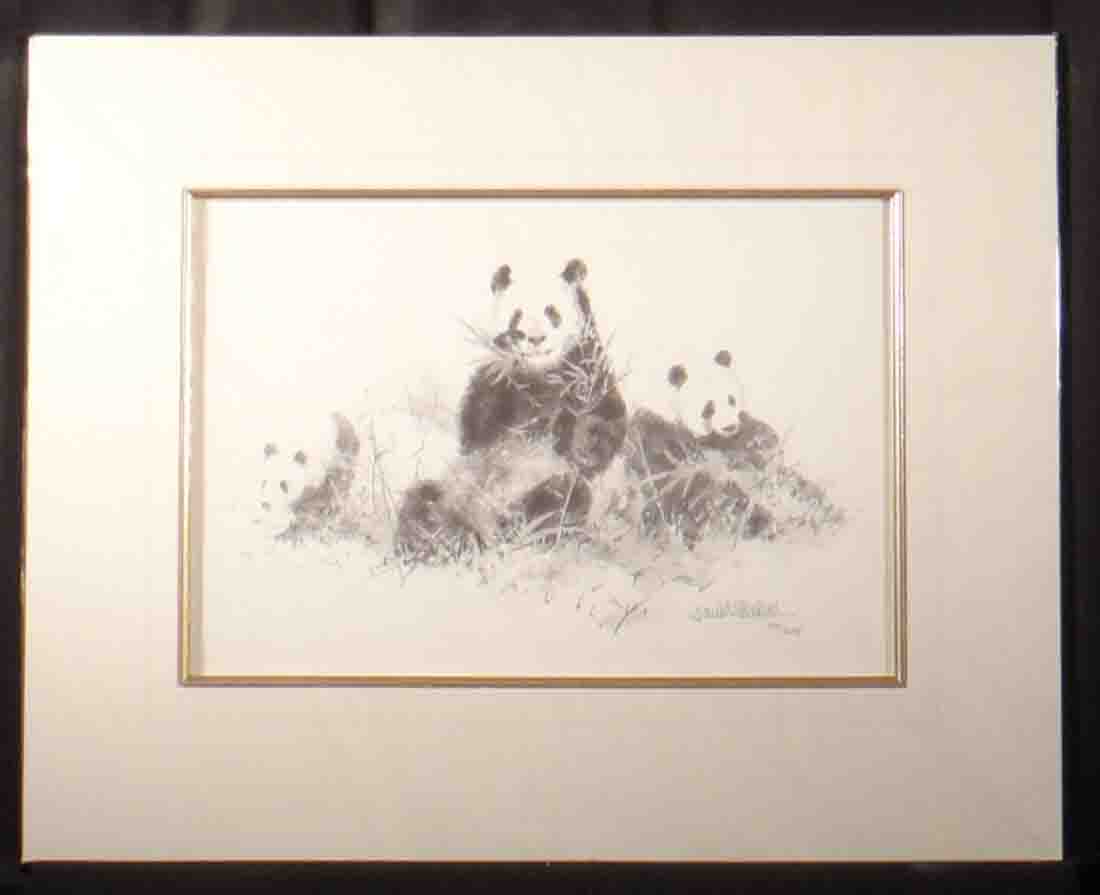 david shepherd pandas sketch 2001