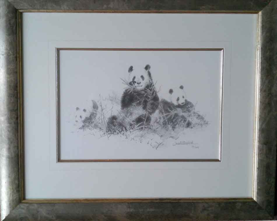 pandas-pencil