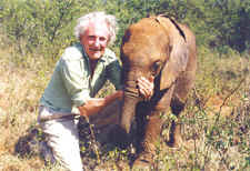 david shepherd baby elephant
