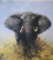 david shepherd elephant