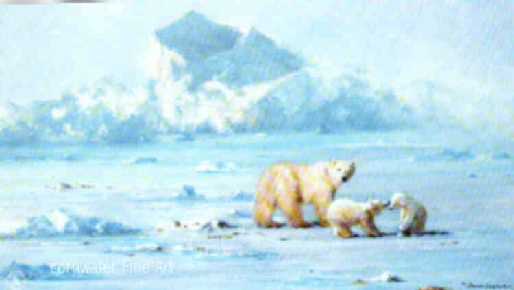 polarbearcountry