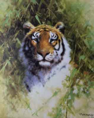 david shepherd tigers prints