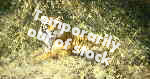 david shepherd ranthambore tiger temporarily out of stock