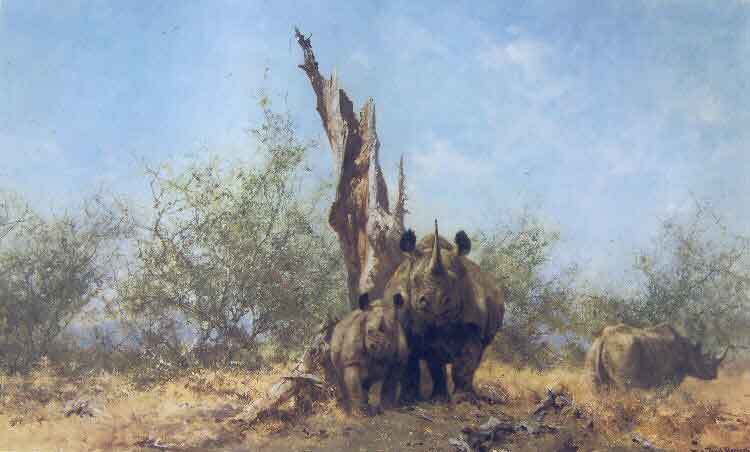 david shepherd rhino beware, rhinoceros