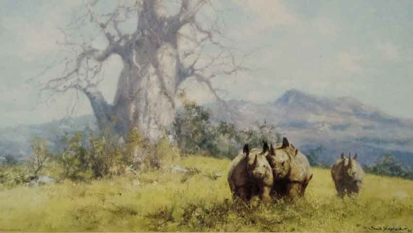 david shepherd rhino reverie, rhinoceros