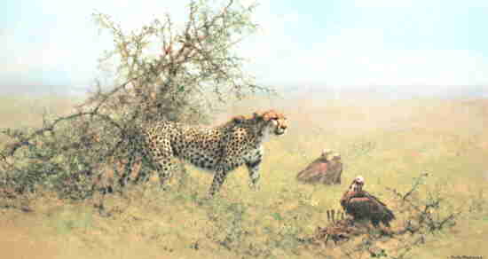 david shepherd scavengers
