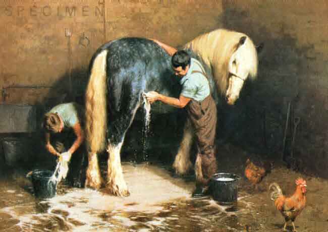 shampoo time horse print
