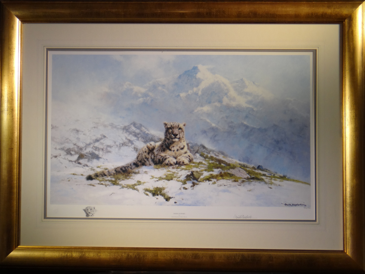david shepherd snow leopard framed