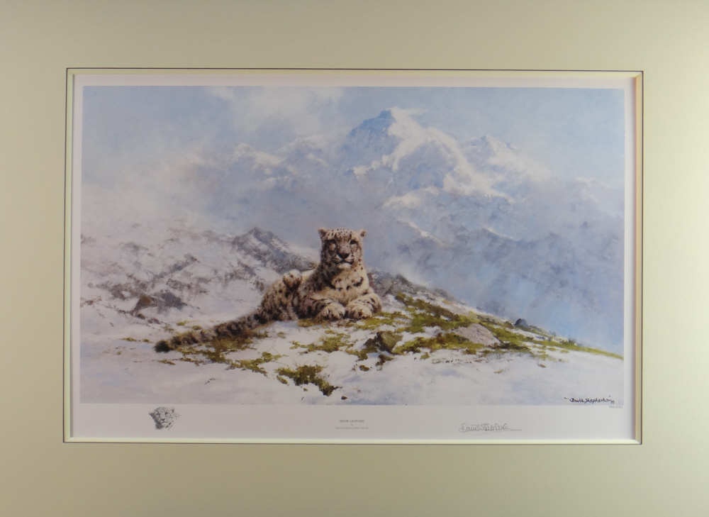 David Shepherd, snow leopard