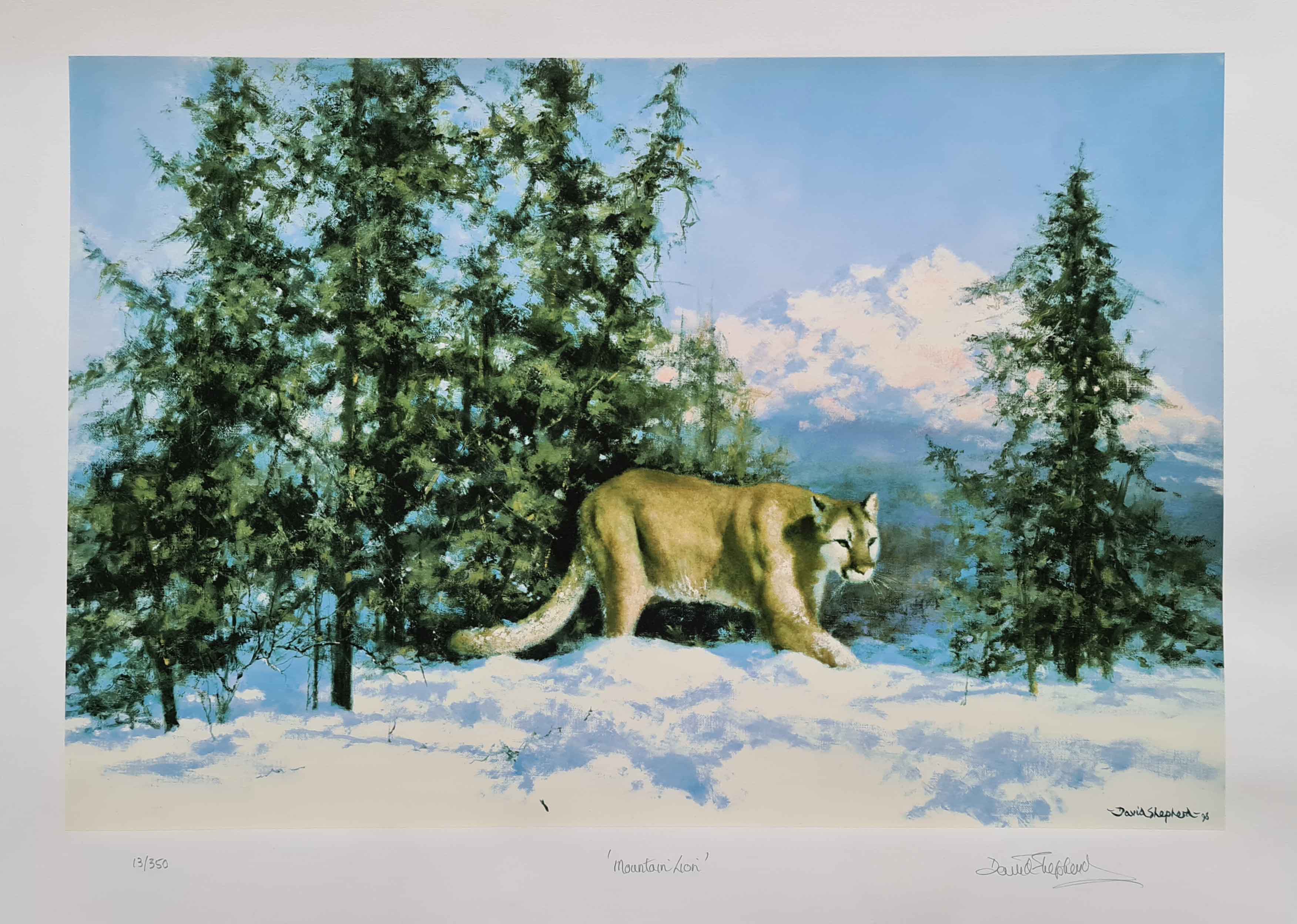 david shepherd snow leopard