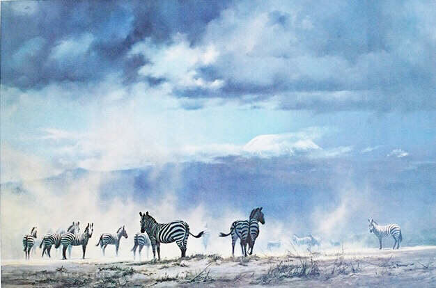 stormoveramboseli