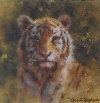 david shepherd tiger cub cameo print