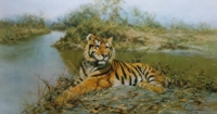 david shepherd tiger in the sun, signed, limited edition, print