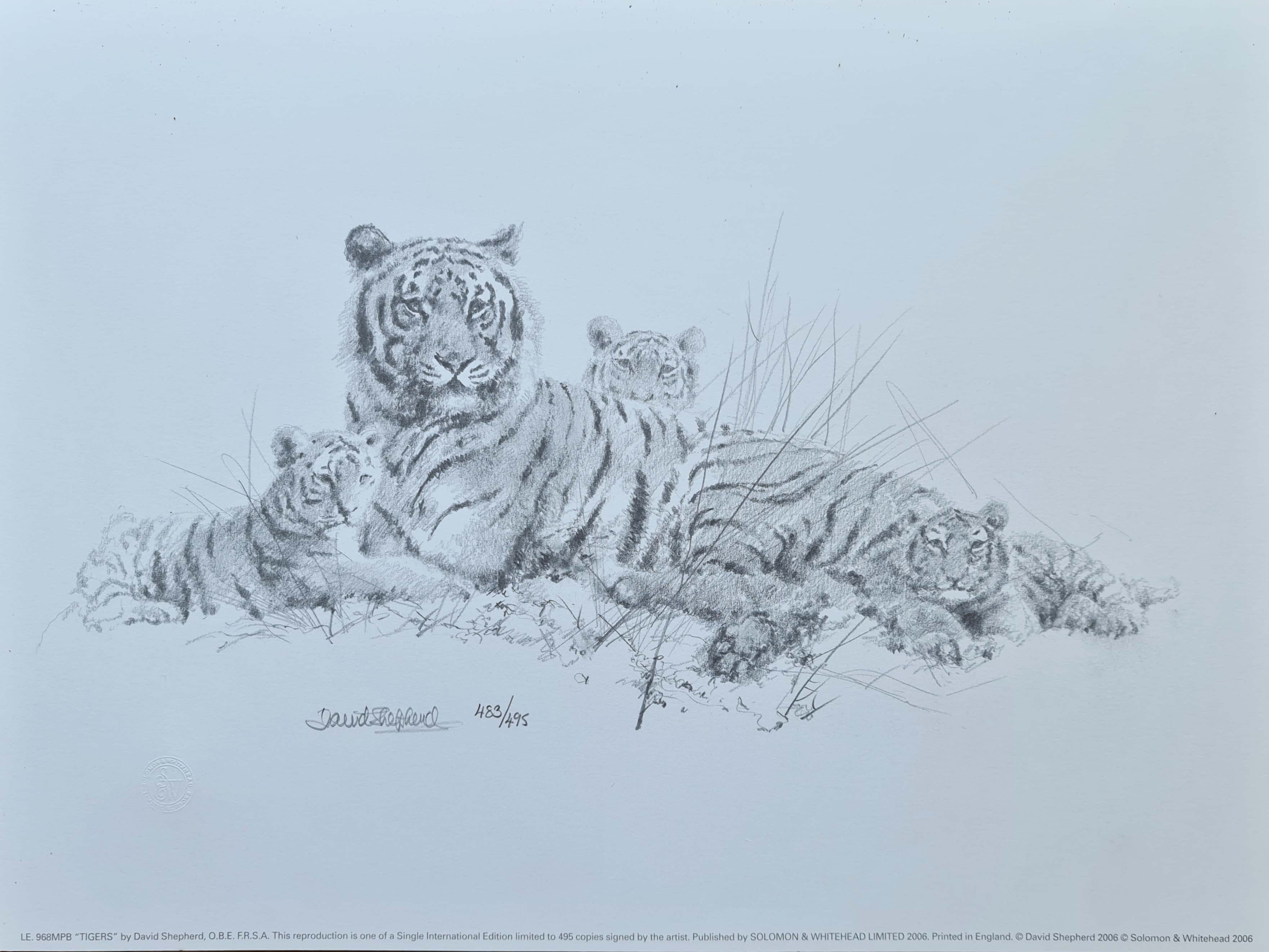 davidshepherd-tigers pencil