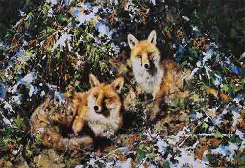 david shepherd Foxes prints