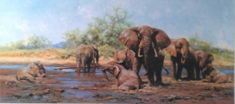 elephant heaven