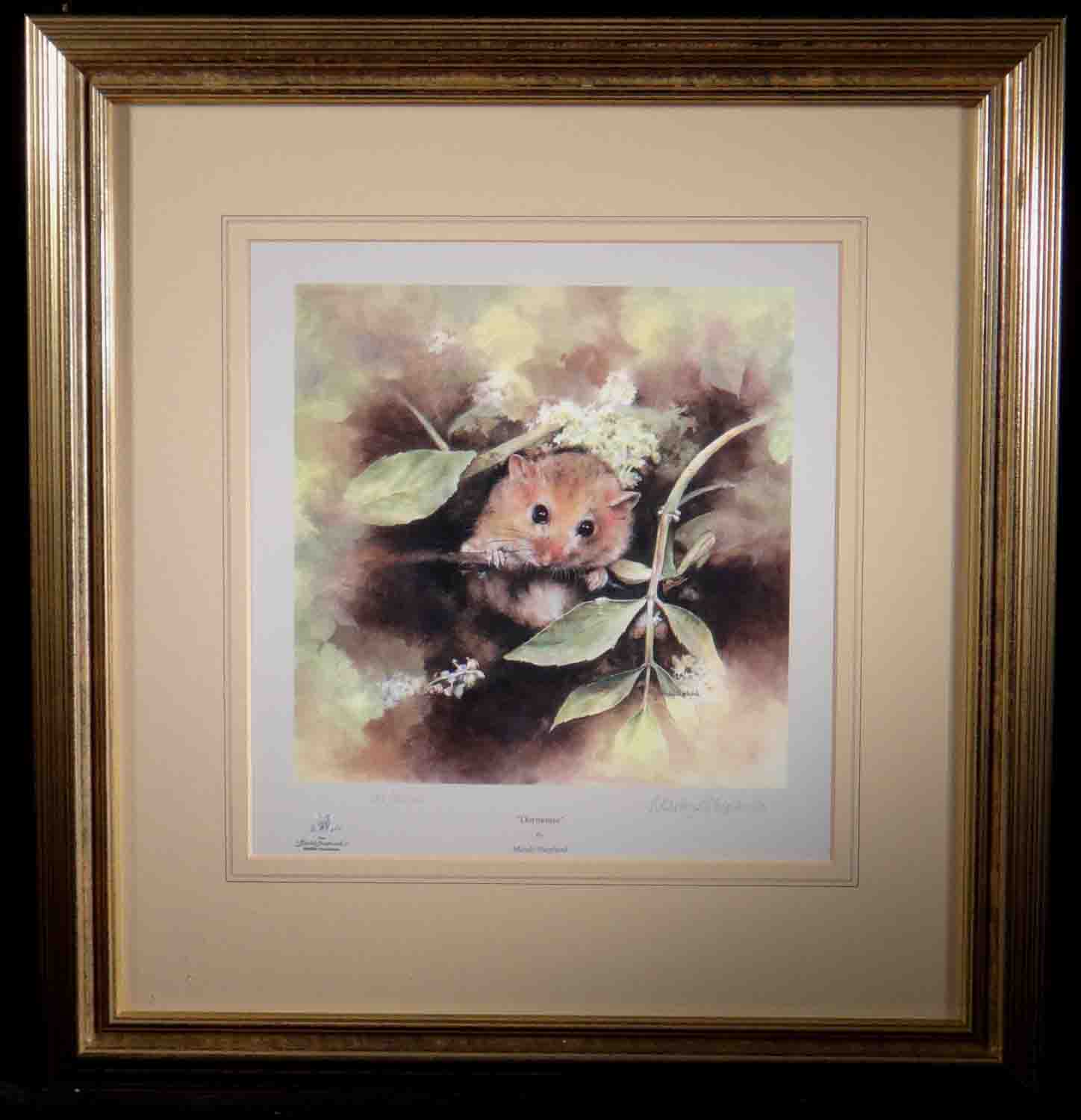 mandy shepherd, dormouse, signed limited edition print