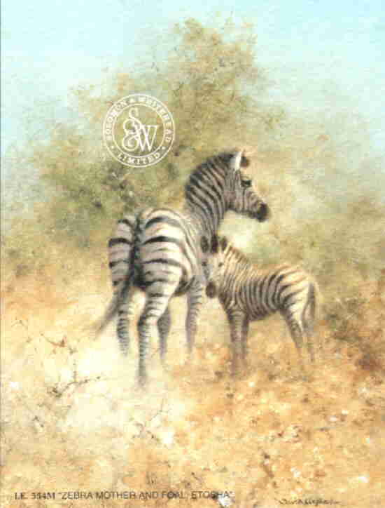 zebramother