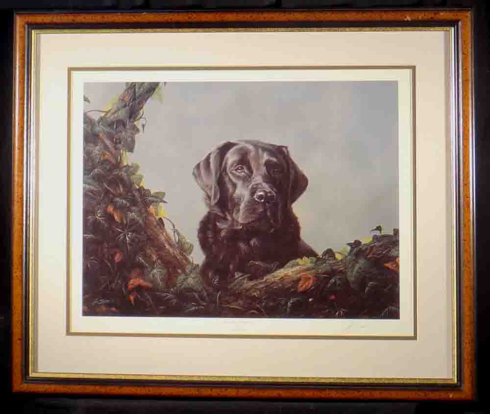 black labrador, dog print