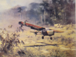 656 squadron,Auster, Malaya, David Shepherd aviation, signed limited edition print