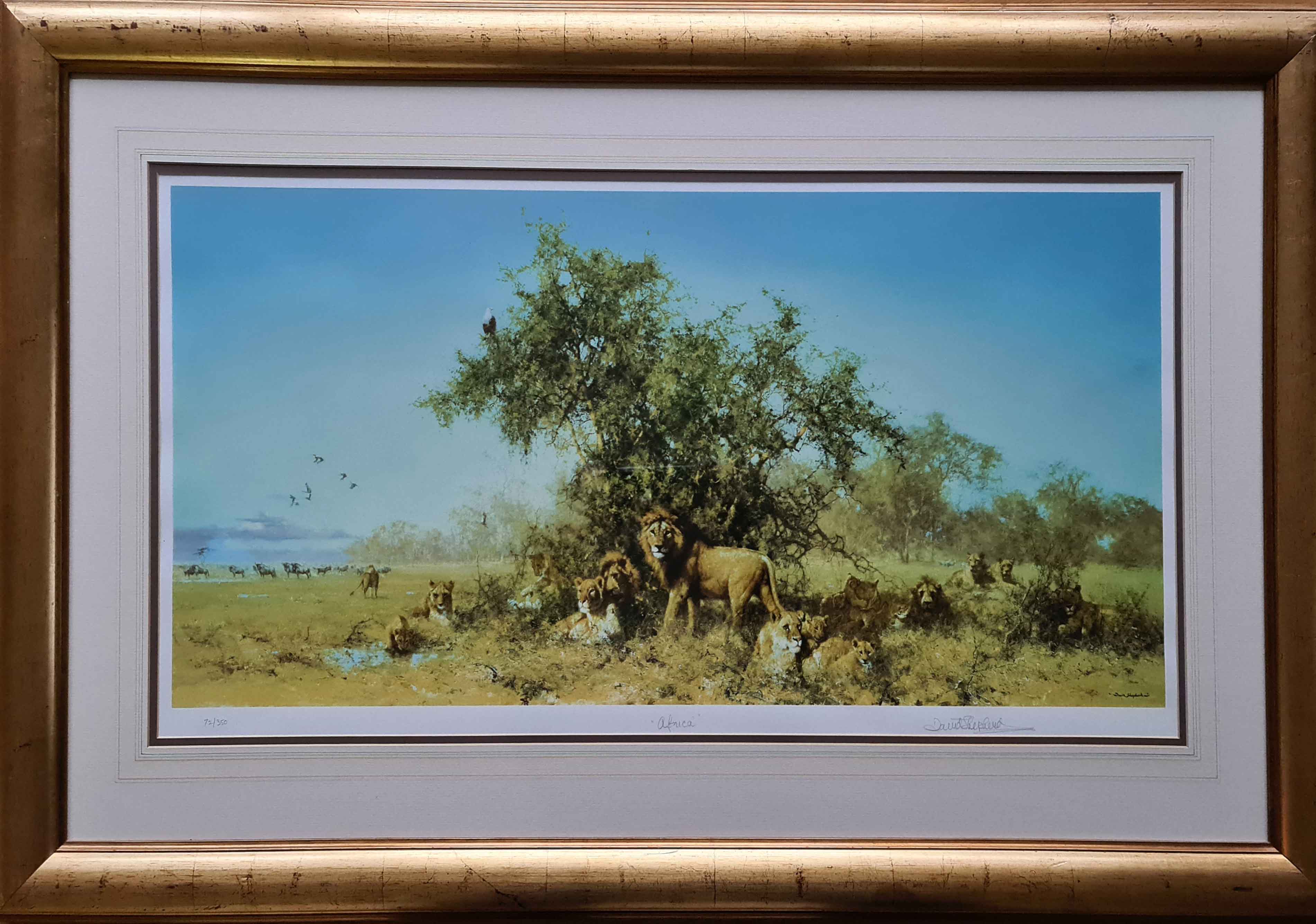 david shepherd  Africa, silkscreen, print, framed