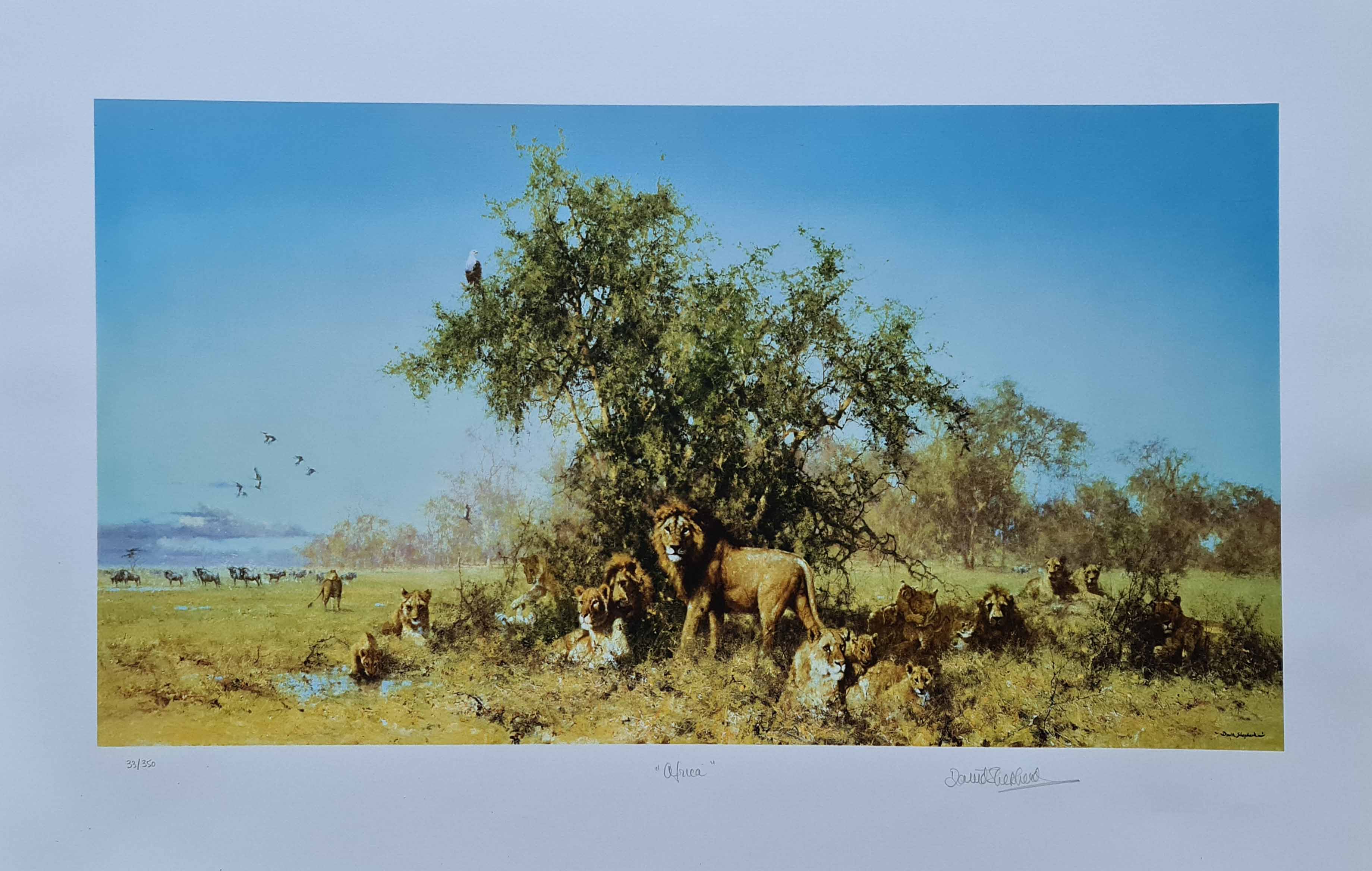 david shepherd  Africa, silkscreen, print