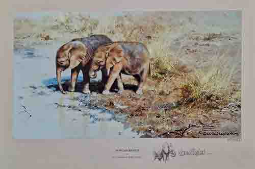 david shepherd african babies elephants, signed, limited edition, print