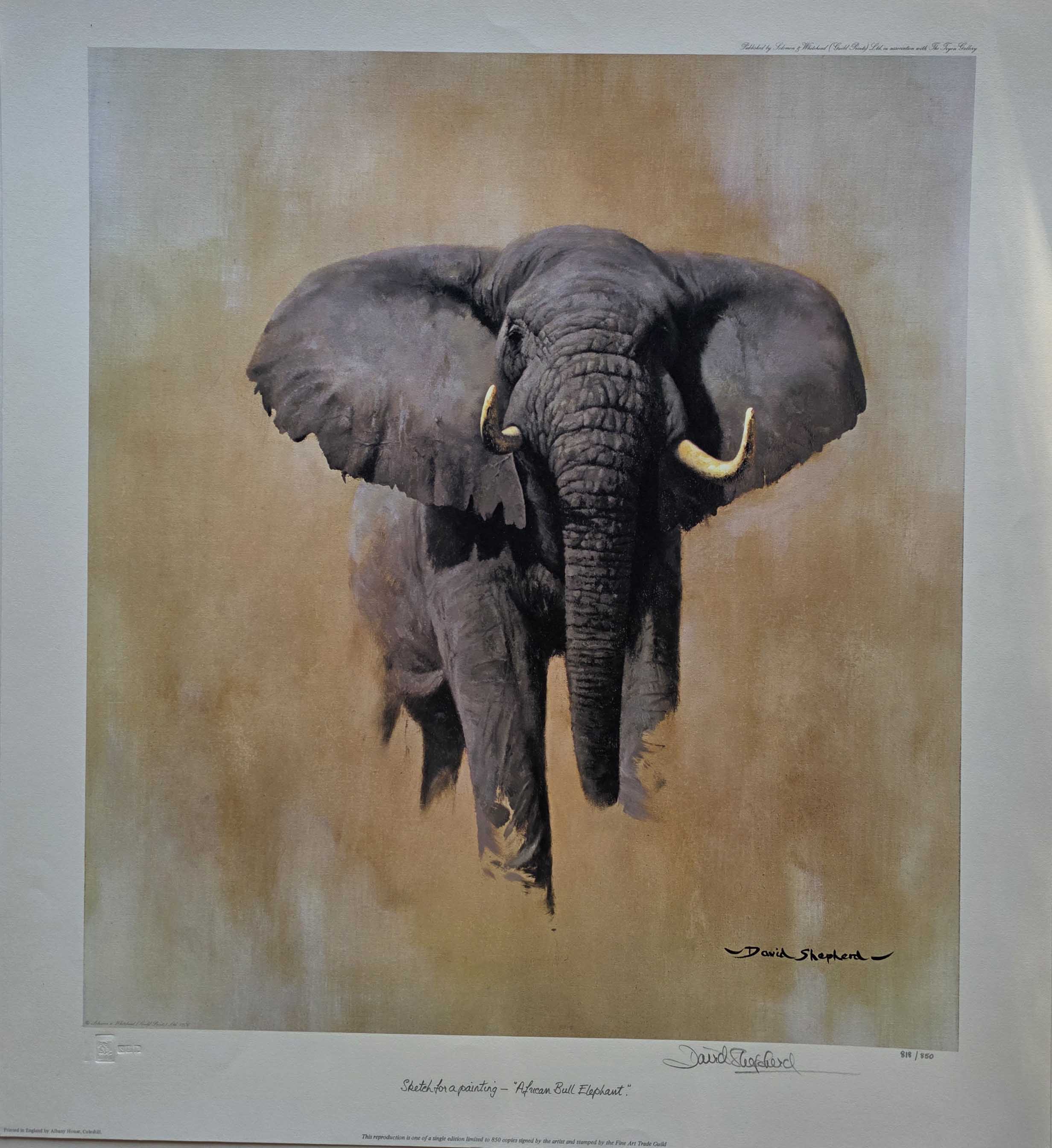 david shepherd signed limited edition print African bull elephant